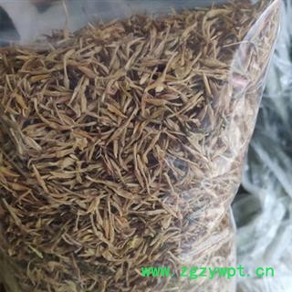 安祁名药素馨花 鸡爪花 多花素馨   野悉蜜图2