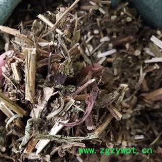 安祁名药素馨花 鸡爪花 多花素馨   野悉蜜图3