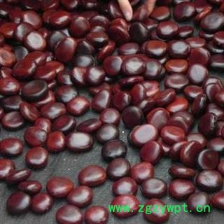 榼藤子 木腰子 阴阳子正品保证质量7天无理由退货退款 安品堂图4