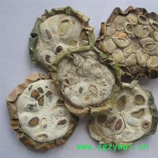 青瓜蒌片 正品保证质量7天无理由退货退款 安品堂图2