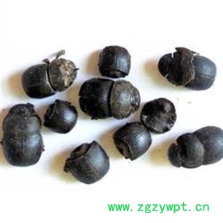 诺源药材行清水大将军 蜣螂虫 屎壳郎  优质清水图2