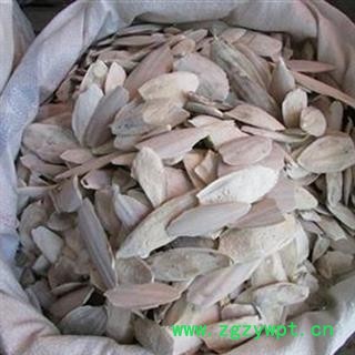 诺源药材行海螵蛸 各种规格齐全图2