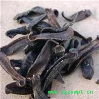 诺源药材行中药材水蛭统货  马鳖  蚂蝗图2