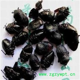 诺源药材行优质九香虫 统 产地 四川图1