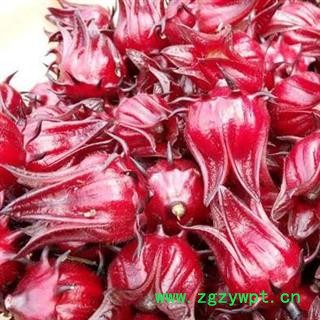 洛神花 秦岭野生优质新货玫瑰茄山民自采 日晒无硫500g【打折已结束】图3