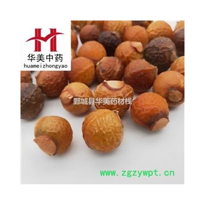 无患子@【至臻华美】中药材批发供应【无患子】无患子