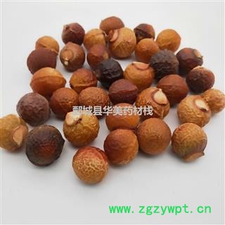无患子@【至臻华美】中药材批发供应【无患子】无患子图3