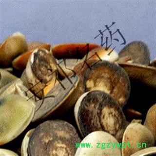 安祁名药正品太极石 水云母 海螺盖 催生子 正品 含量够图2