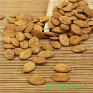 桃仁@【华美中药】中药材批发供应【桃仁】图2