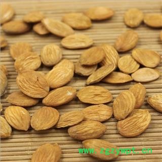 桃仁@【华美中药】中药材批发供应【桃仁】图3