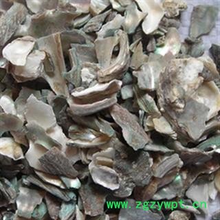 安祁名药优质矿石 石决明 另有九孔石决明图2