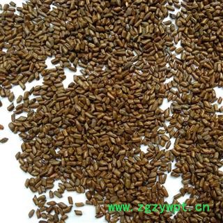 决明子@【华美中药】中药材批发供应【决明子】图2