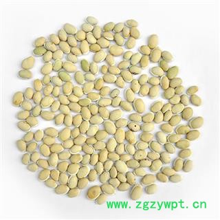 白扁豆 云南进口白扁豆选货 产地 海外 华美中药 产地直销 重在品质图3