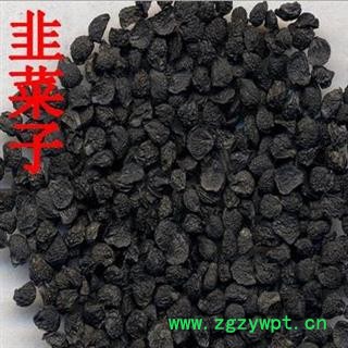 韭菜子 韭菜子净货 产地 河南 华美中药 产地直销 重在品质图2