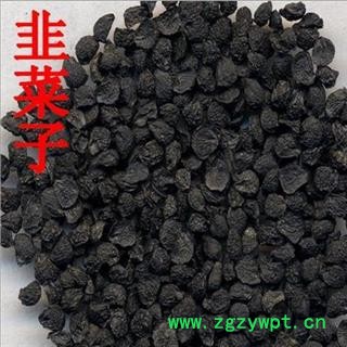 韭菜子 韭菜子净货 产地 河南 华美中药 产地直销 重在品质图3