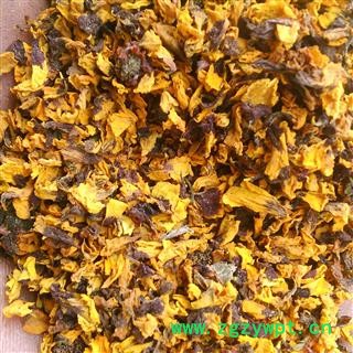 雪菊 雪菊花瓣 产地 新疆维吾尔自治区图2