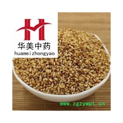 柏子仁 柏子仁精选货 产地 山东省 华美中药 产地直销 重在品质