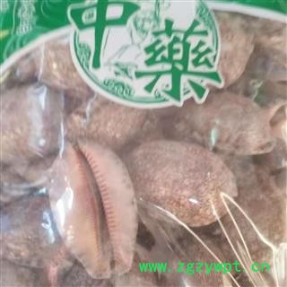 安祁名药优质贝齿 紫贝齿i图2