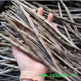 安祁名药海龙 清水 产地 广东省图2