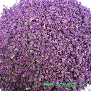 紫薇花 精品 产地 四川省成都市双流县图4