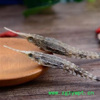 海麻雀 优质海燕10g图3