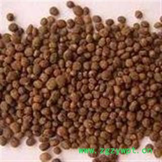 凤仙花 凤仙花子统 产地 河南省开封市市辖区图3