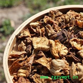 炒鸡内金 秦岭农家土鸡内金 生鸡内金 农家散养 过筛分拣500g图3