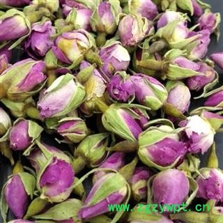 小丽百草行玫瑰花 法兰西玫瑰玫瑰花图2