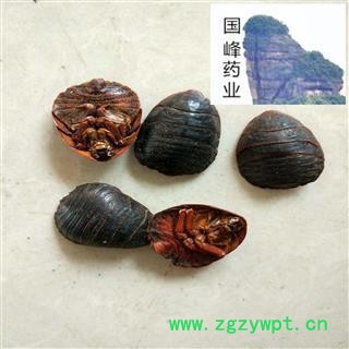 土鳖虫 土元大统货 水洗 全干 无虫蛀 产地直销 国峰药业 重在品质 产地 山东省图2