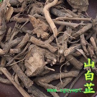 羊耳菊 羊耳菊根 全根大力王 猪耳风 羊耳风 白面风山白芷 重在品质小丽百草行图2