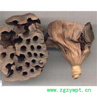 莲房  莲蓬小丽百草行 莲房图2