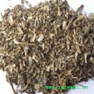 小丽百草行挖耳朵草 癞虱草天名精 天明精 天名精草图2