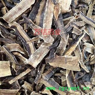 地龙 广地龙半开片 质量好  产地 广西壮族自治区图2