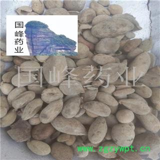 五倍子 统货 产地 河北省图2