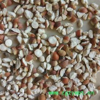 芡实 四六半 产地 广东省图2