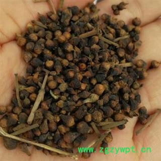 中药材水翁花别名水雍花、大蛇药 产地广西 品种齐全 安国市场批发零售大全图2