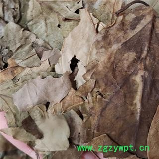 诺源药材行无硫中药材丁香叶图2