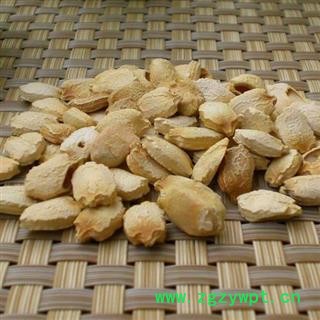 苦瓜籽 苦瓜子 正品保证质量7天无理由退货退款 安品堂图2