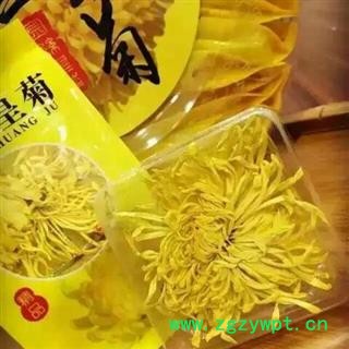 诺源药材行正品江西修水金丝皇菊  皇菊花  优质精选花茶图3