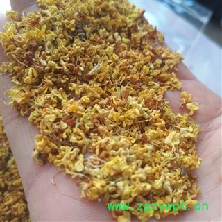 安祁名药新货桂花 颜色好图3