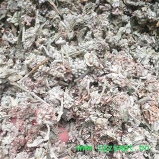 安祁名药密蒙花 新货无硫图4