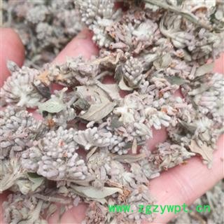 安祁名药密蒙花 新货无硫图2