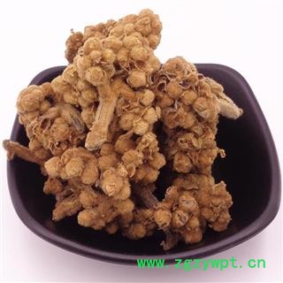 瑞森药材行 中药材 琵琶花 枇杷花 土冬花图2