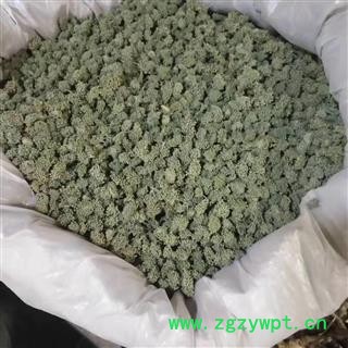 安祁名药三七花 五年生三七花图3