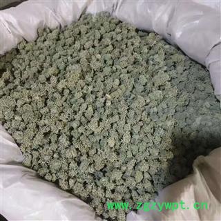 安祁名药三七花 五年生三七花图2