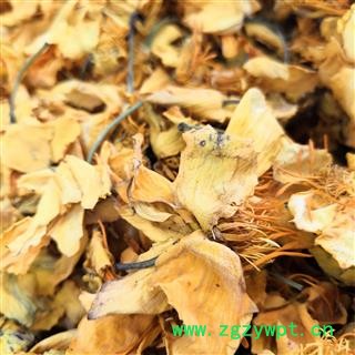 安祁名药金莲花 优质花茶 新货无硫图2