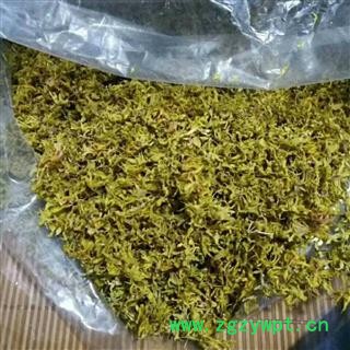 安祁名药优质石斛花 鼓槌花图2