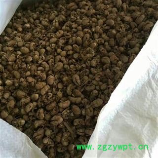 诺源药材行中药材蝉蜕 小蝉蜕 另有蛇蜕图2