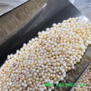 诺源药材行天然珍珠 小米珍珠图2