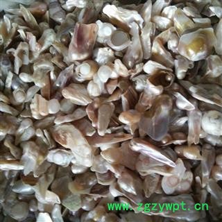 诺源药材行不规则珍珠 真珠  异形珍珠  用做药引及打粉专用图2